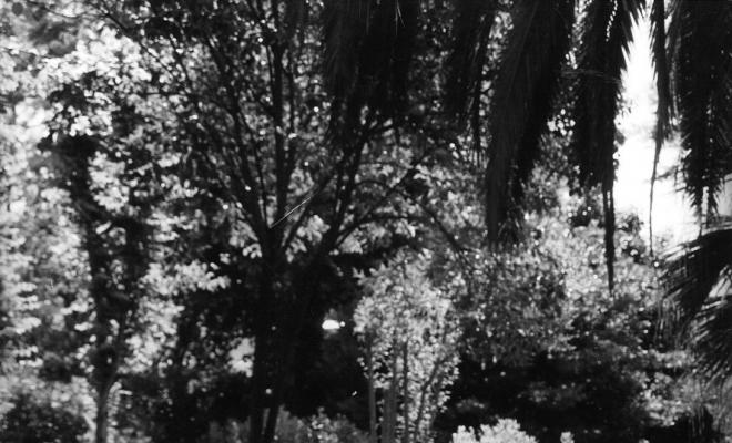 Parc Can Solei