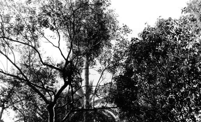 Parc de Can Solei 