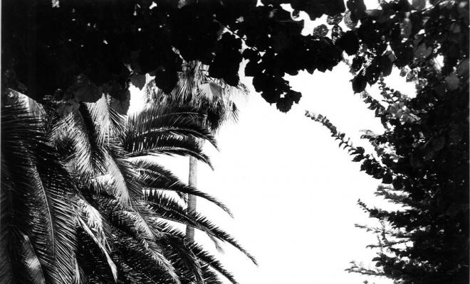 Parc de Can Solei 