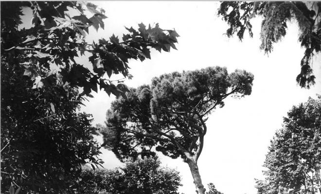 Parc de Can Solei