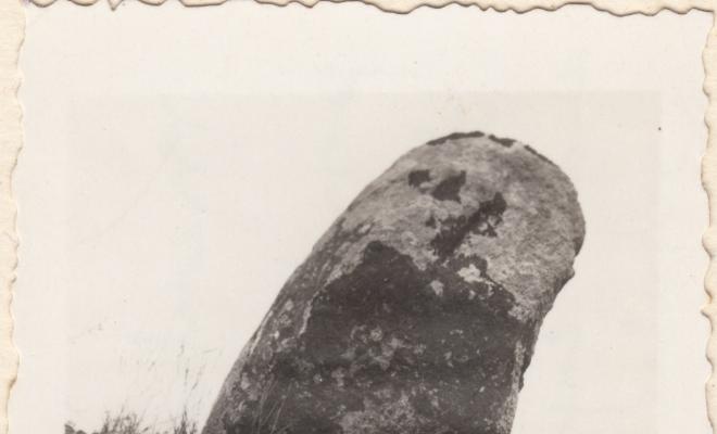Arqueologia. Possible menhir devant de cal Camat