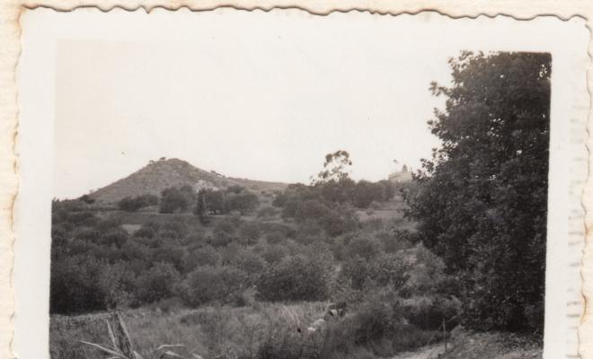 Arqueologia. Pomar: Turó d'en Boscá