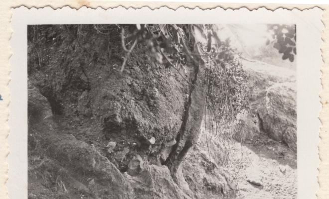 Arqueologia. Torrent de la Font: forn romà