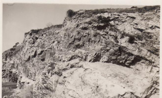 "Un ""Colorado"" a Montgat: l'espadat"