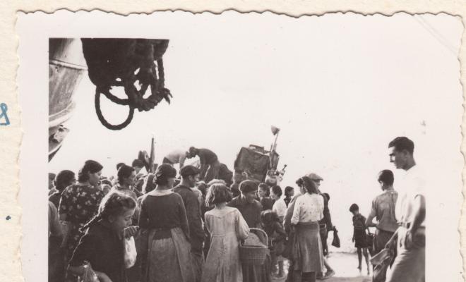 La pesca de la sardina