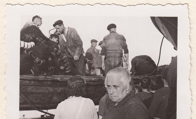 La pesca de la sardina