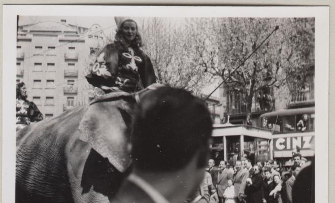 Vistes vàries de l'arribada d'un elefant a Barcelona (només viurà una setmana)