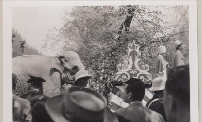 Vistes vàries de l'arribada d'un elefant a Barcelona (només viurà una setmana)