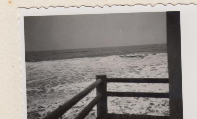 Temporal