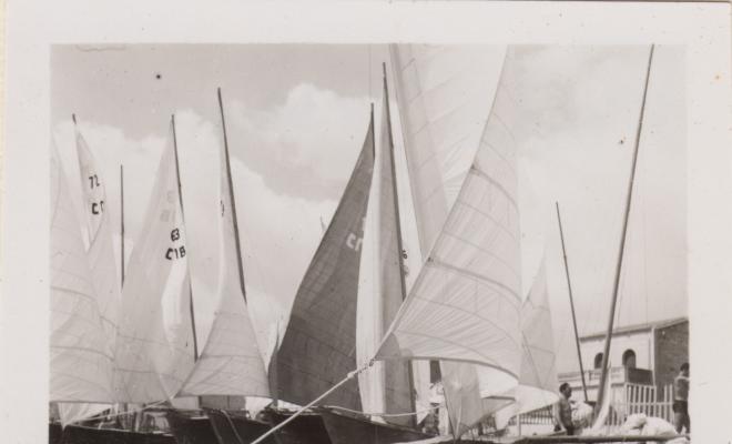 Festa Major. Patins de vela: descripció i Regata