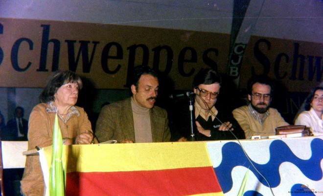 Ajuntament Ple al paveló de la Plana