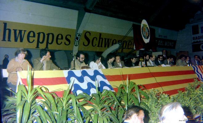 Ajuntament Ple al paveló de la Plana