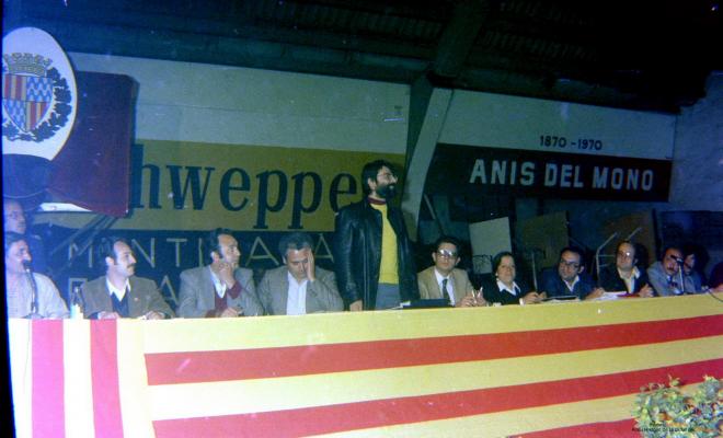 Ajuntament Ple al paveló de la Plana