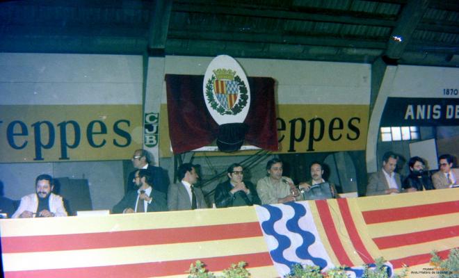Ajuntament Ple al paveló de la Plana