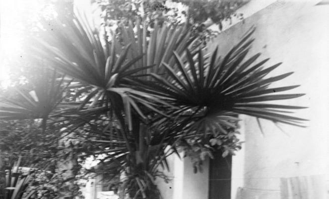 Nena al badiu o jardí