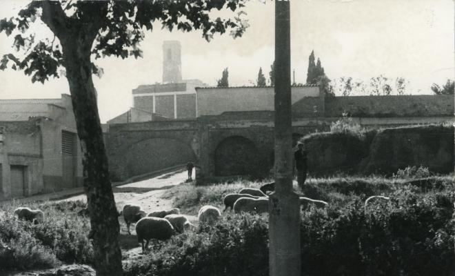 Topografia. Barris. Dalt de la Vila