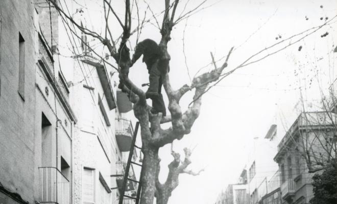 Topografia. Carrers. Carrer d'en Prim