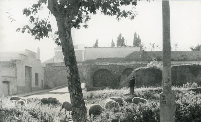 Topografia. Barris. Dalt de la Vila