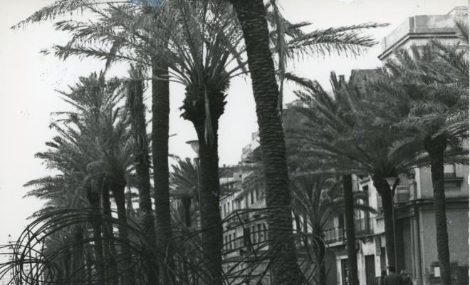 Topografia. Carrers. Rambla