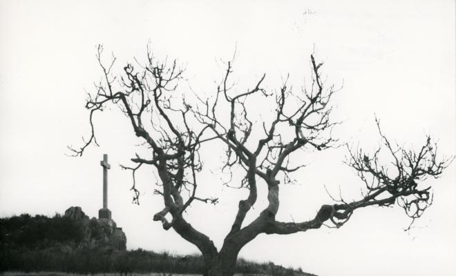 Escultura. Creu Montigalà