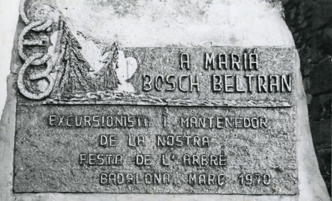 Escultura. Monument a Marià Bosch Beltran