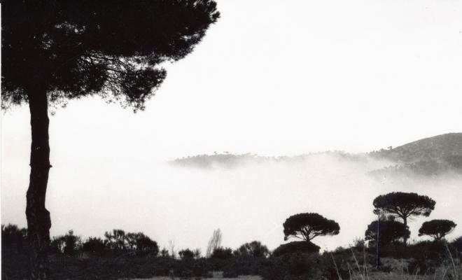 Topografia. Rodalies. 