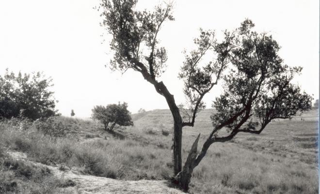 Topografia. Vall de Sant Jeroni