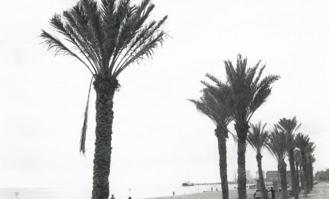 Platja 