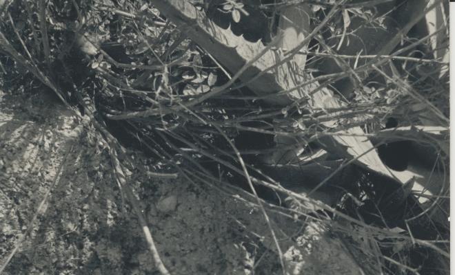 Arqueologia. Sepultura
