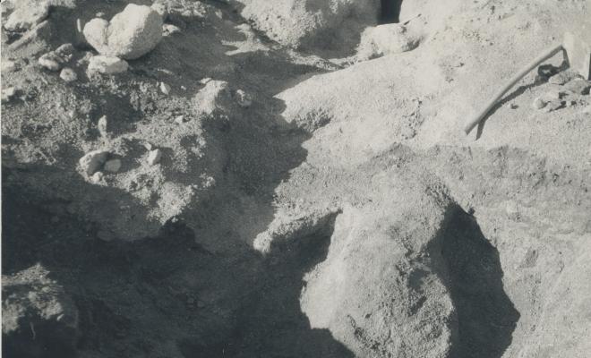 Arqueologia. Zona Sant Jeroni de la Murtra