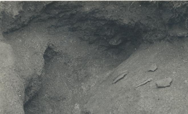 Arqueologia. Zona Sant Jeroni de la Murtra