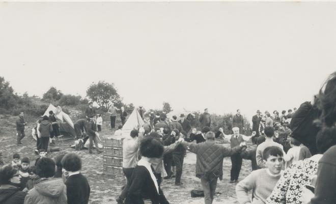 Festa de l'Arbre 