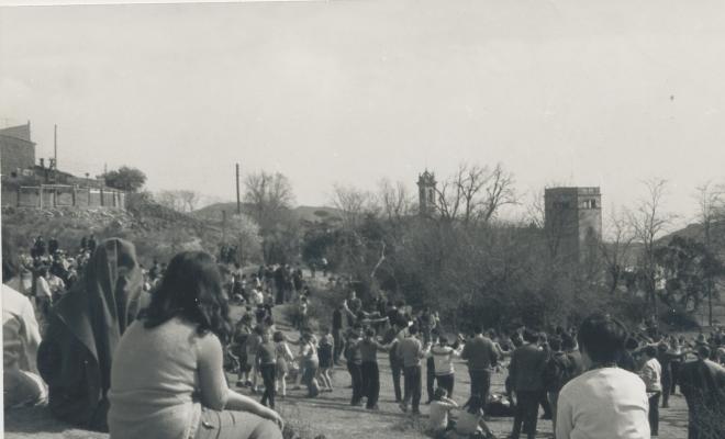 Festa de l'Arbre 