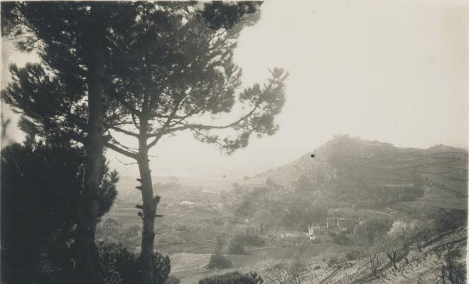 Turó d'en Bosca
