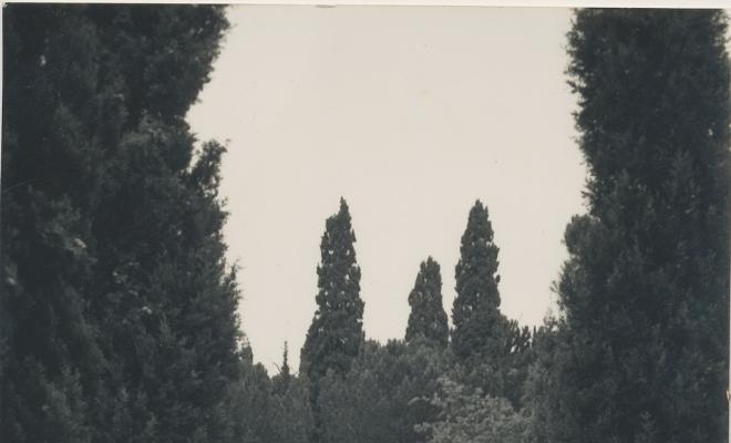 Torre Pallaresa 