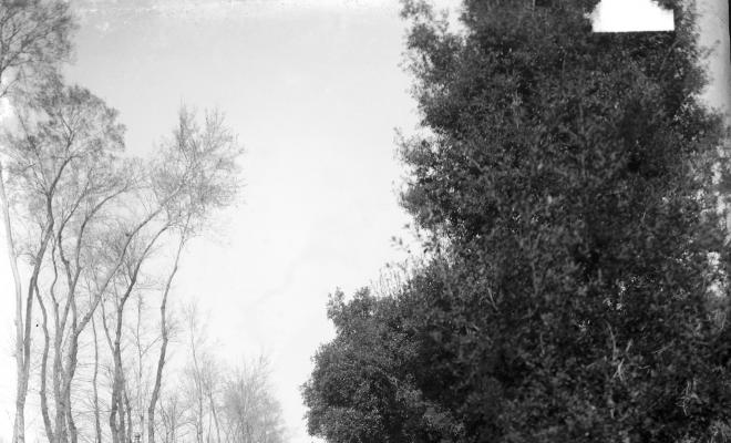 Torrent de Nadal. (final camí de Can Tiano)