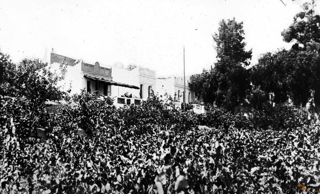 Colònia Sant Jaume. Casetes