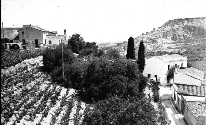 Des de Can Tiano
