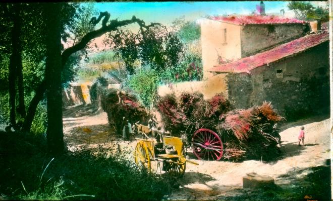 Carros amb canyes al camí de la Carrerada