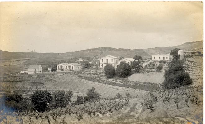 Colònia Sant Antoni