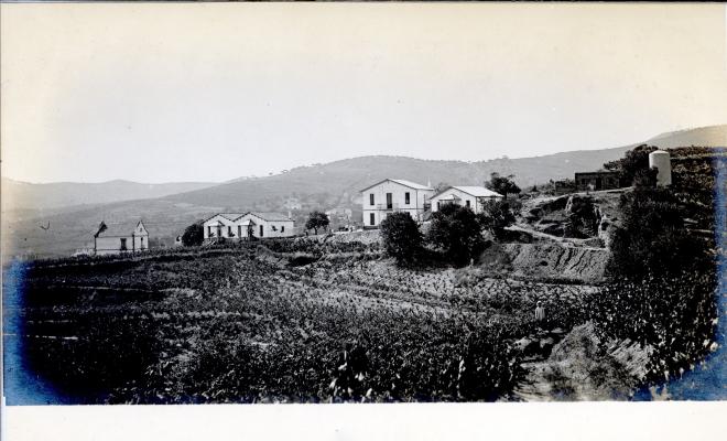 Colònia Sant Antoni