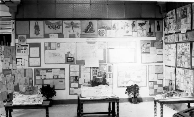 Mostra treballs alumnes Escola Catalana