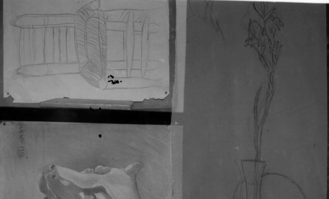 Mostra treballs alumnes Escola Catalana