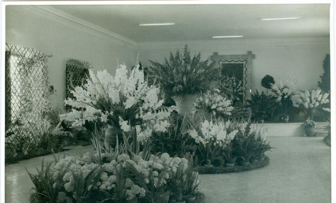 Exposició de flors per la Festa Major