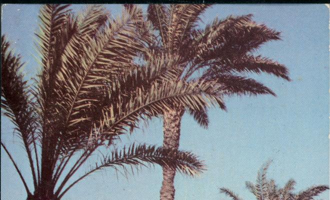 Vistes de Vilassar de Mar. Postal