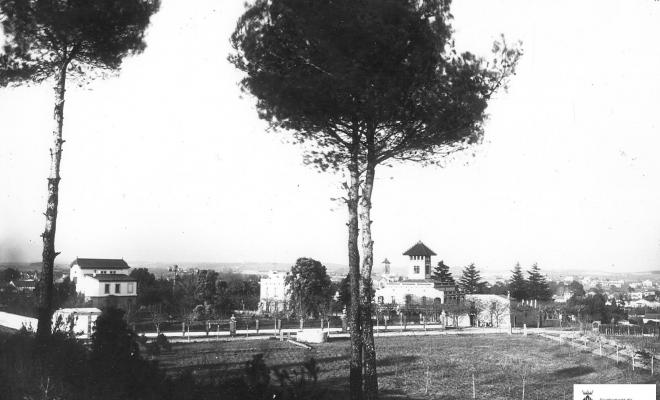 El Turonet. Els pinetons.Panoràmica.
