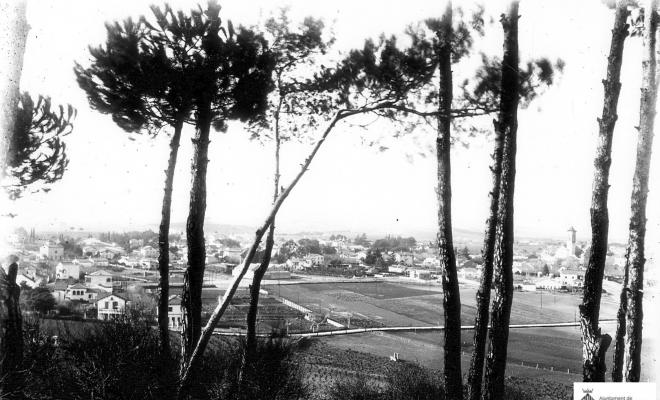 El Turonet. Els pinetons.Panoràmica.
