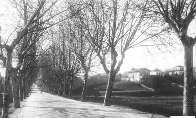 Av. Flor de maig. Vinyes.