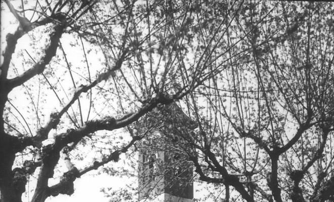 Església nova de Sant Martí. Tanca perimetral.