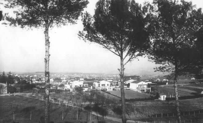 Vinyes des del Turonet